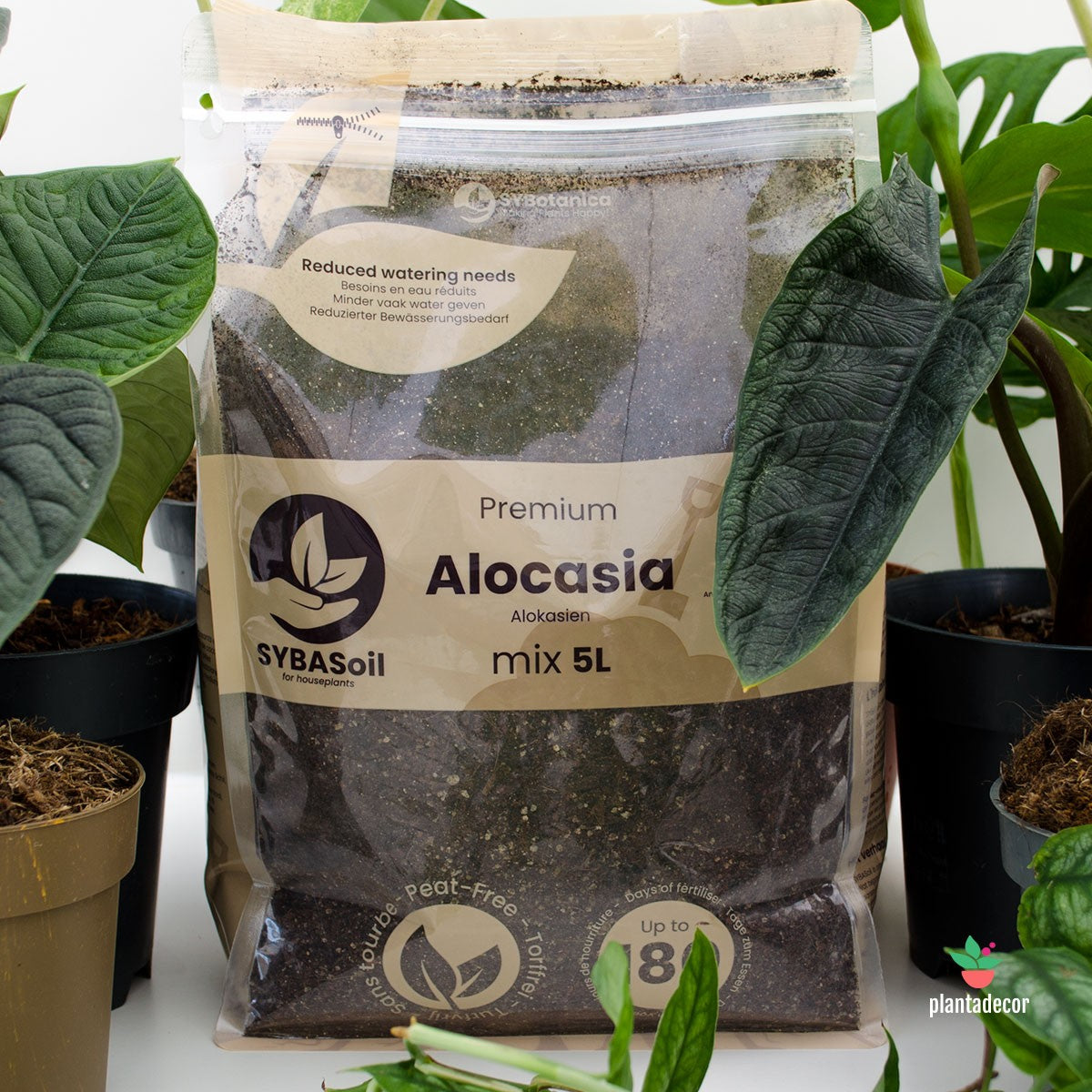 sustrato para aglaonema Sustrato Premium Alocasia – Plantadecor