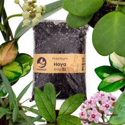 Sustrato Premium Hoyas