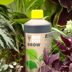 Fertilizante para plantas biológico