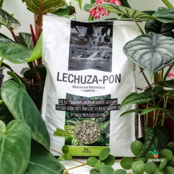 Sustrato para plantas de interior Lechuza-Pon