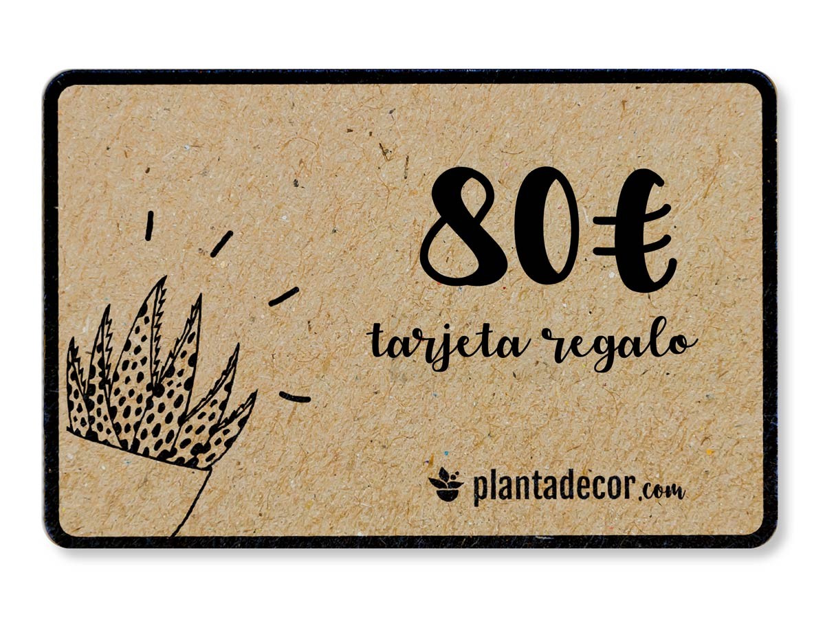 Tarjeta Regalo 80 €