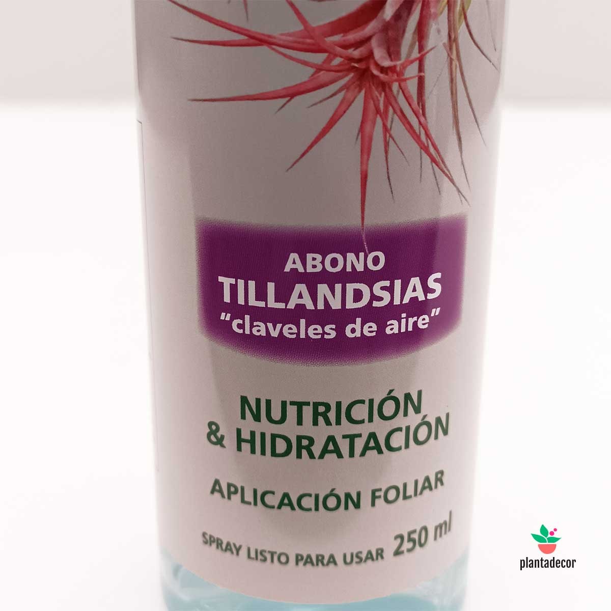 Abono para Tillandsias y Plantas Aéreas