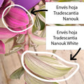 Diferencias entre la nanouk y la nanouk white