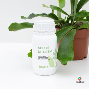 Aceite de Neem