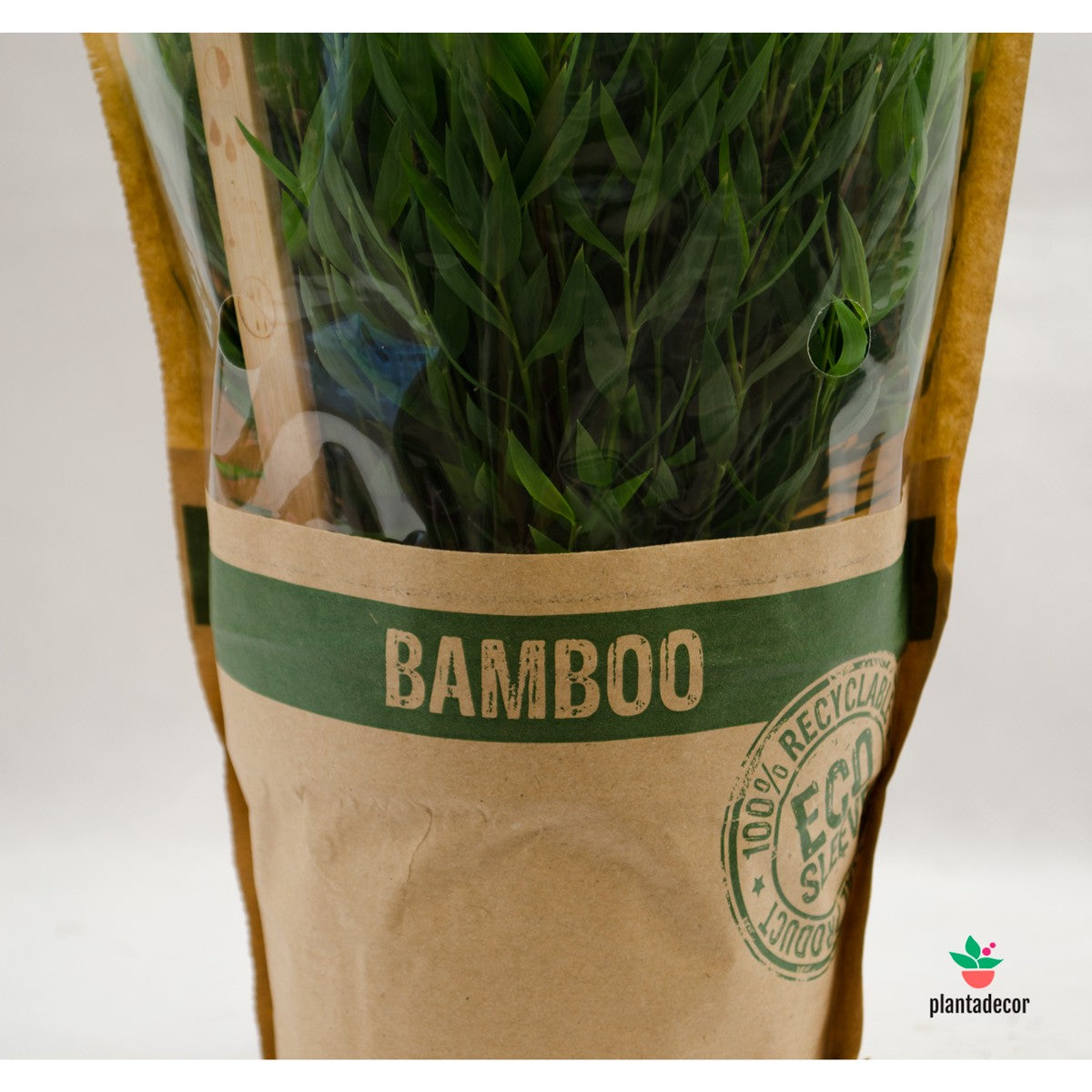 bambú ecológico comprar