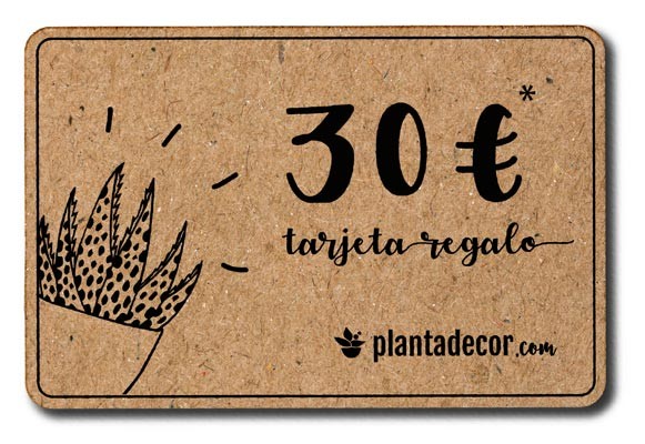 Tarjeta Regalo 30 €