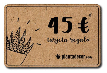 Tarjeta Regalo 45 €