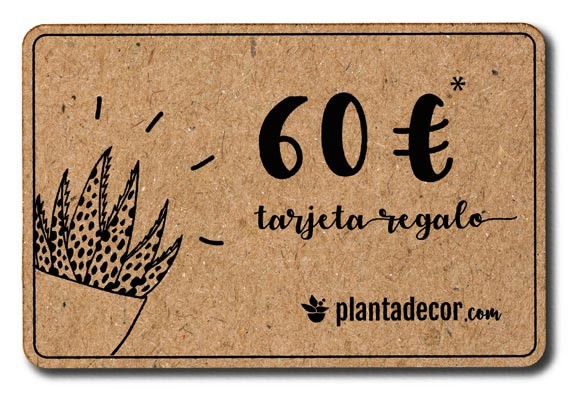 Tarjeta Regalo 60 €