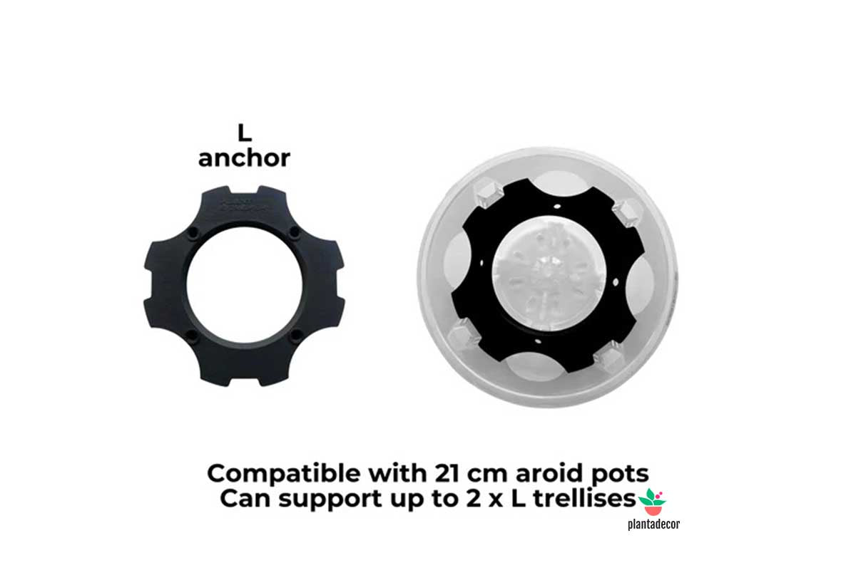 Ancla Para Arcos Trasparentes L