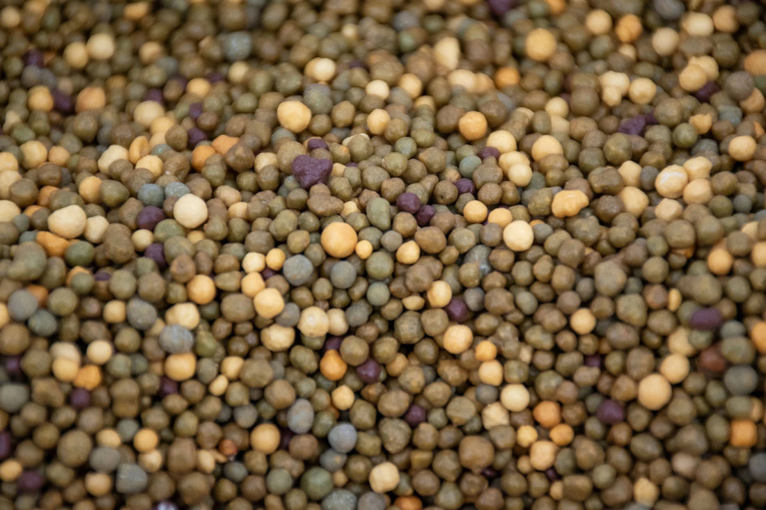 Fertilizante Liberación lenta ORQUÍDEAS