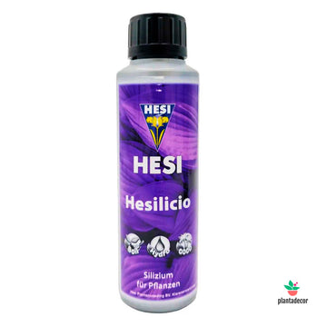 Hesilicio
