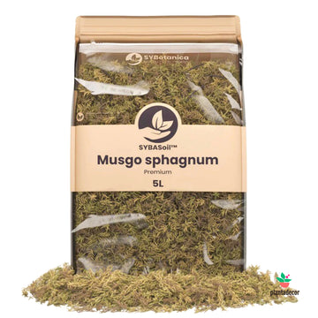 Musgo Sphagnum