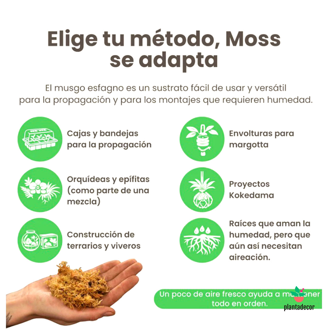 Musgo Sphagnum