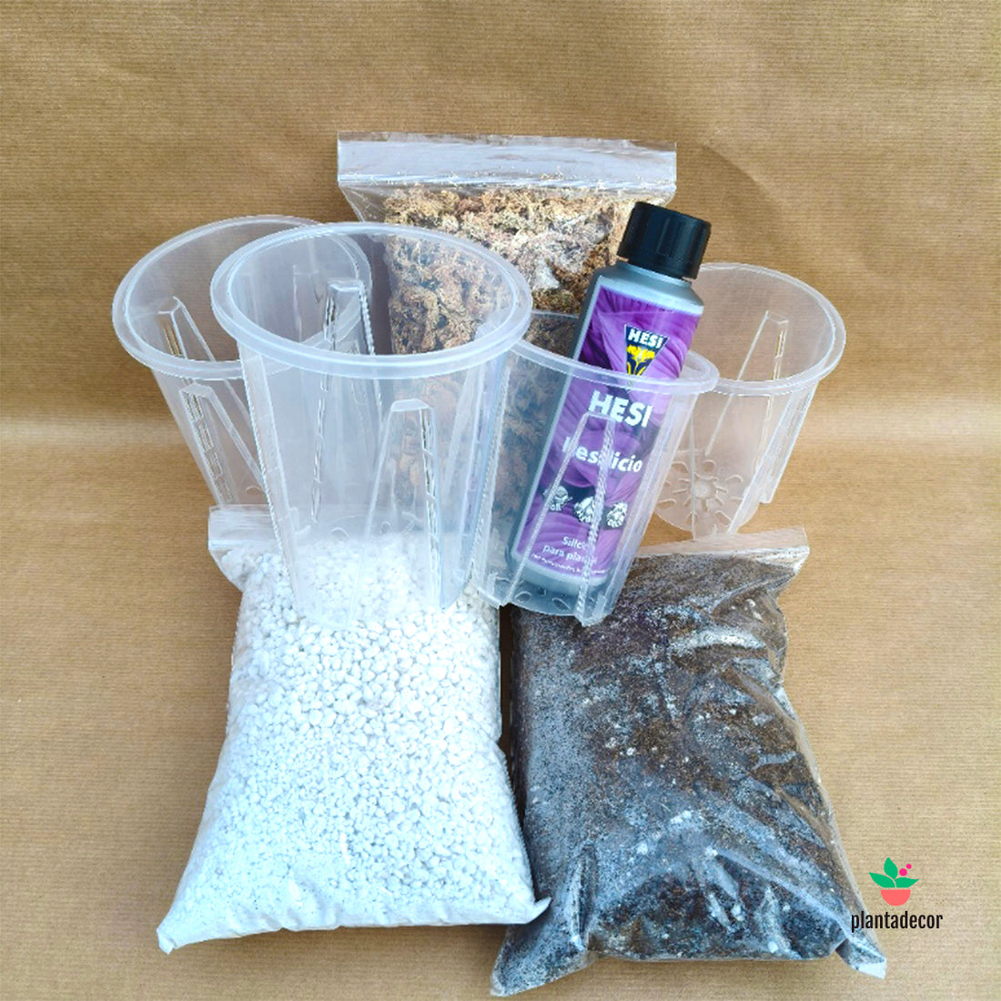 🌿 Pack de Adaptación