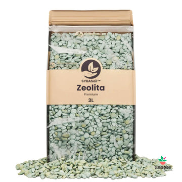 Zeolita