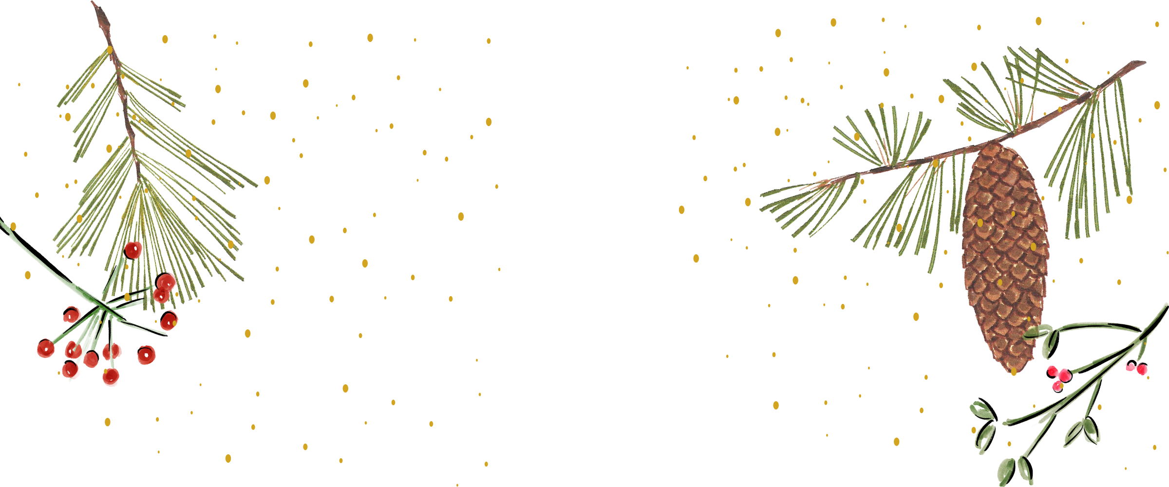 collection-banner-image