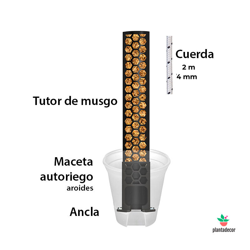 Kit Tutor Autoriego XL21