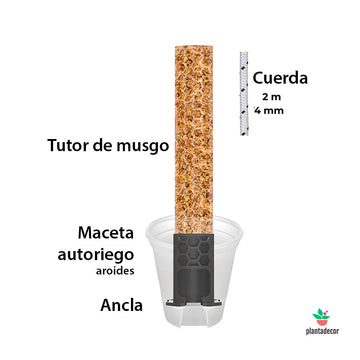 Kit Tutor Autoriego L18
